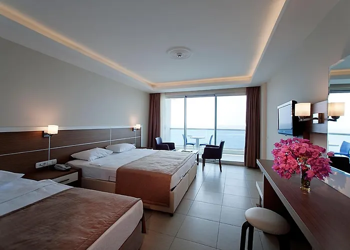 酒店 Venessa 阿萨拉尔